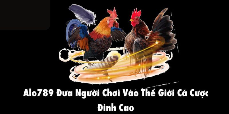 Alo789 sở hữu chất lượng dịch vụ đẳng cấp vượt trội